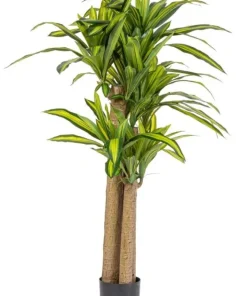 Bizzotto Piante Artificiali>PIANTA DRACAENA C-VASO H150