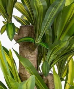 Bizzotto Piante Artificiali>PIANTA DRACAENA C-VASO H150