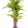 Bizzotto Piante Artificiali>PIANTA DRACAENA C-VASO H130