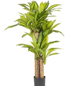 Bizzotto Piante Artificiali>PIANTA DRACAENA C-VASO H130