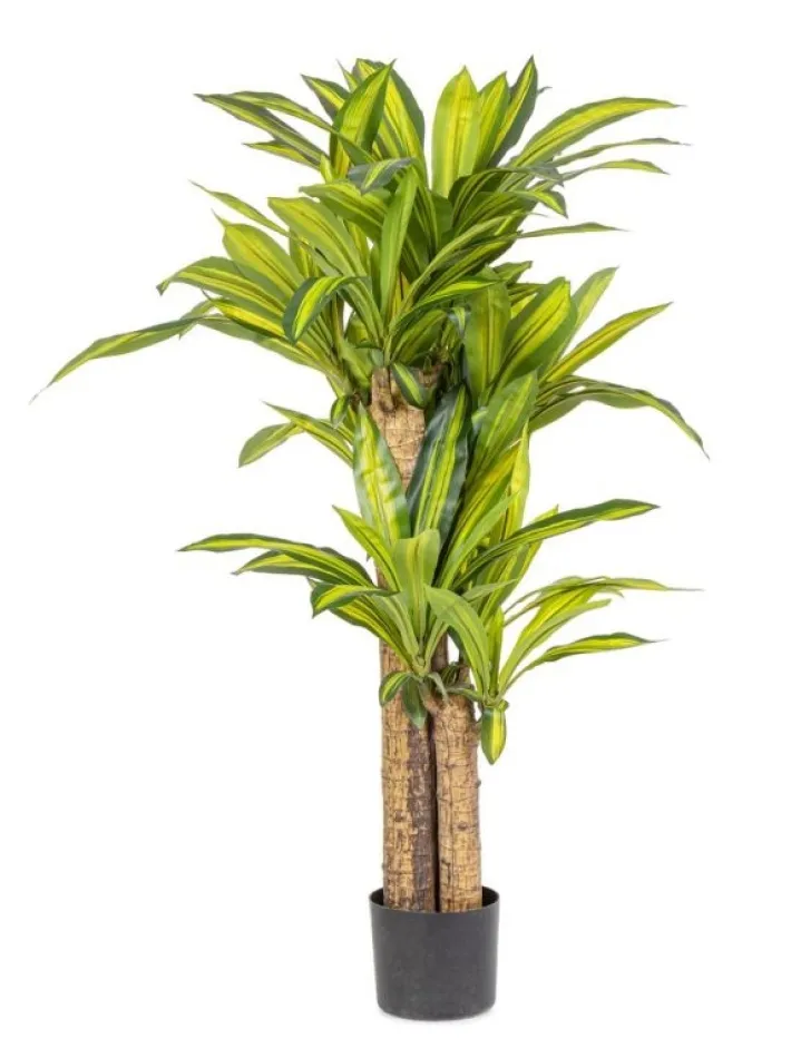 Bizzotto Piante Artificiali>PIANTA DRACAENA C-VASO H130