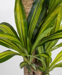 Bizzotto Piante Artificiali>PIANTA DRACAENA C-VASO H130