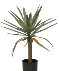 Bizzotto Piante Artificiali>PIANTA DRACAENA C-VASO H62