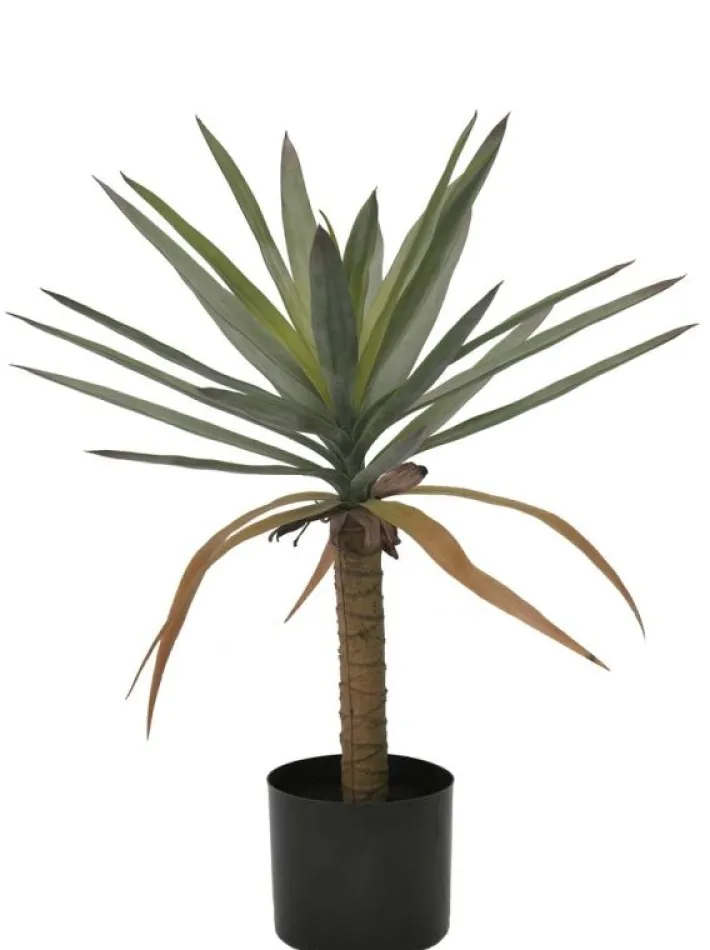 Bizzotto Piante Artificiali>PIANTA DRACAENA C-VASO H62
