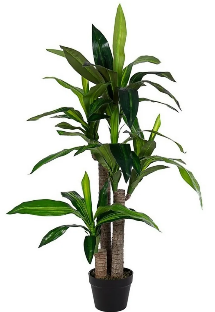 Bizzotto Piante Artificiali>PIANTA DRACANEA C-VASO 65FOGLIE H110