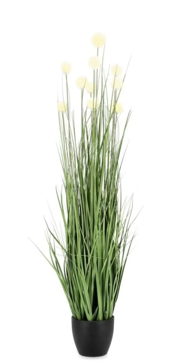 Bizzotto Piante Artificiali>PIANTA ERIOPHORUM BIANC C-VASO X10F H110