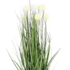 Bizzotto Piante Artificiali>PIANTA ERIOPHORUM BIANCO C-VASO X7F H68