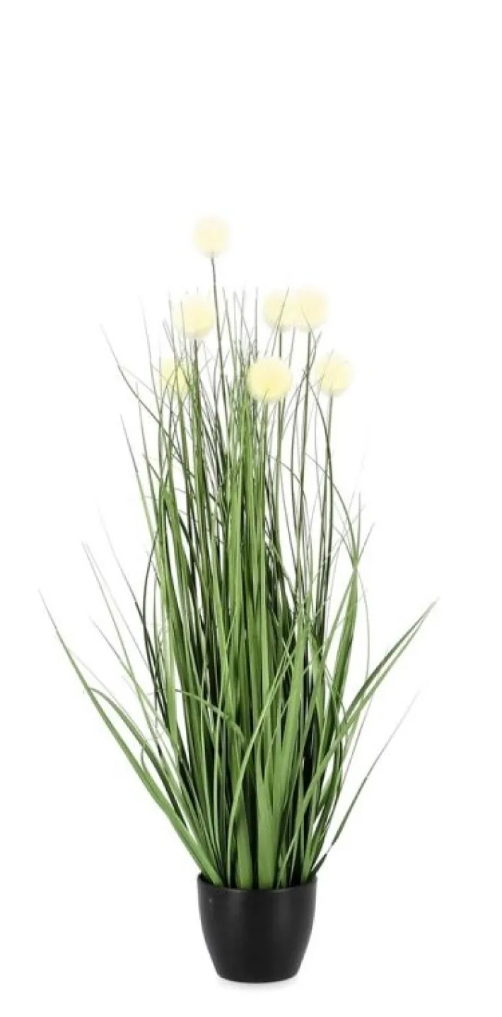 Bizzotto Piante Artificiali>PIANTA ERIOPHORUM BIANCO C-VASO X7F H68