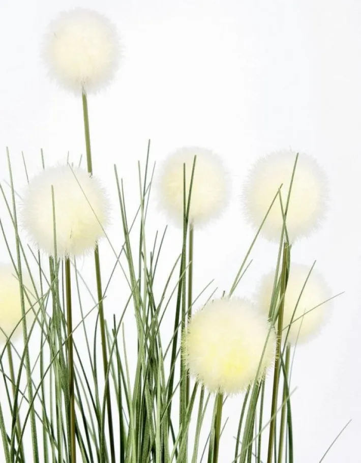 Bizzotto Piante Artificiali>PIANTA ERIOPHORUM BIANCO C-VASO X7F H68