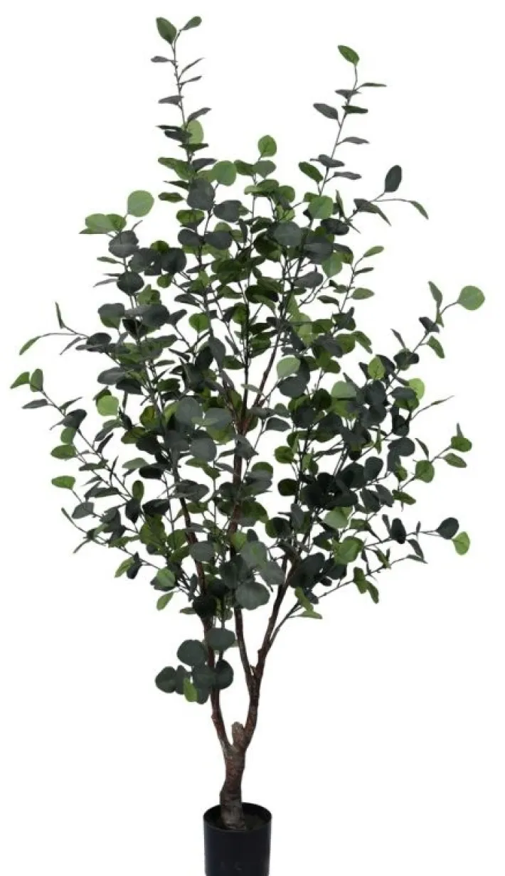 Bizzotto Piante Artificiali>PIANTA EUCALIPTO C-VASO H180