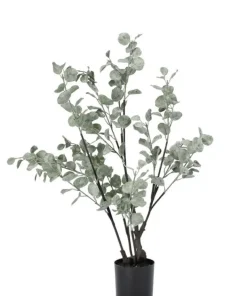 Bizzotto Piante Artificiali>PIANTA EUCALIPTO C-VASO H82