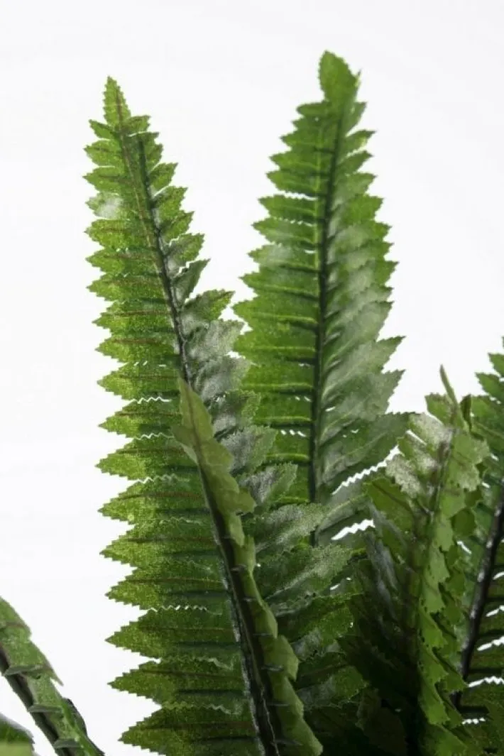 Bizzotto Piante Artificiali>PIANTA FELCE H45