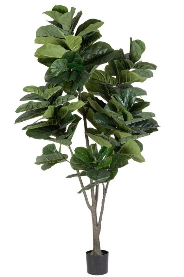 Bizzotto Piante Artificiali>PIANTA FICUS LYRATA C-VAS 123FOGLIE H230