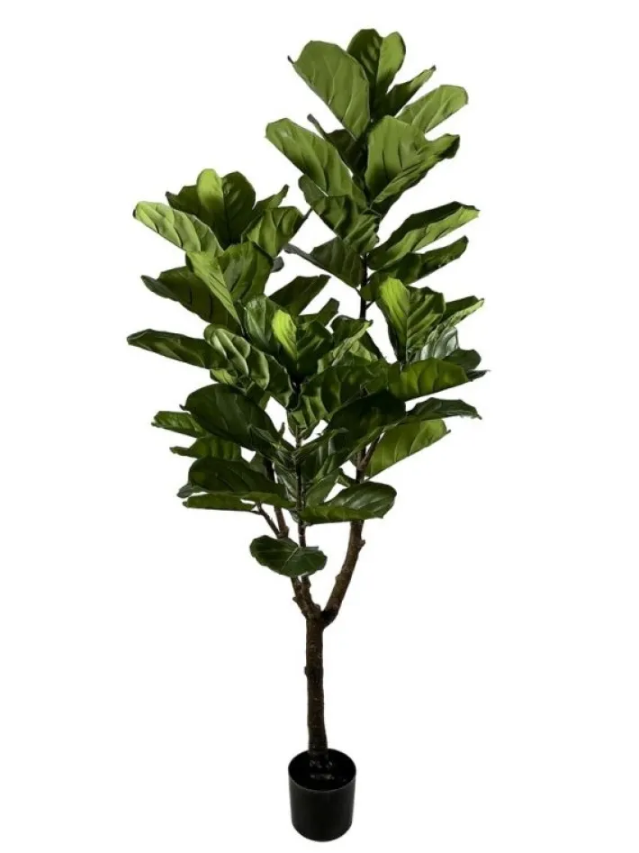 Bizzotto Piante Artificiali>PIANTA FICUS LYRATA C-VASO 60FOGLIE H180