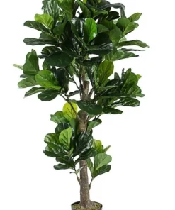 Bizzotto Piante Artificiali>PIANTA FICUS LYRATA C-VASO 153FOGL H190