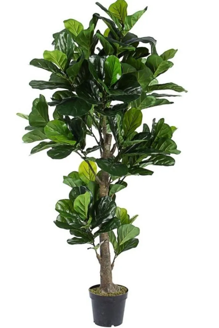 Bizzotto Piante Artificiali>PIANTA FICUS LYRATA C-VASO 153FOGL H190
