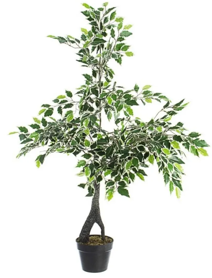 Bizzotto Piante Artificiali>PIANTA FICUS VARIEGATO C-VASO X760F H120