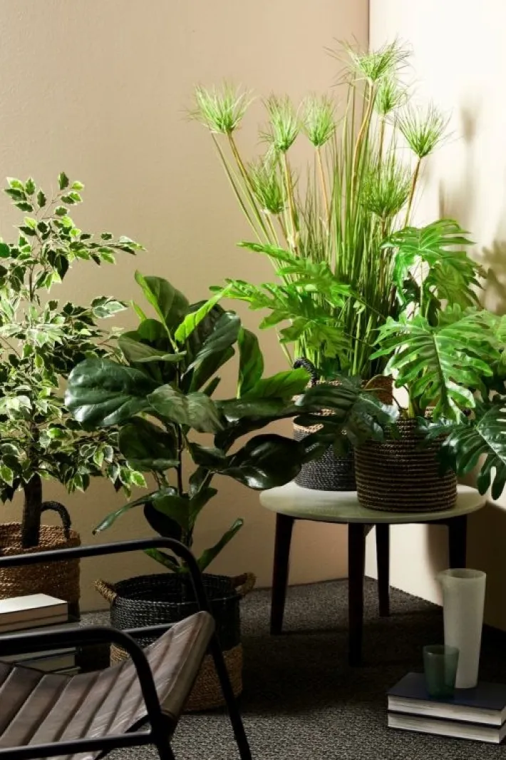 Bizzotto Piante Artificiali>PIANTA FICUS VARIEGATO C-VASO X760F H120