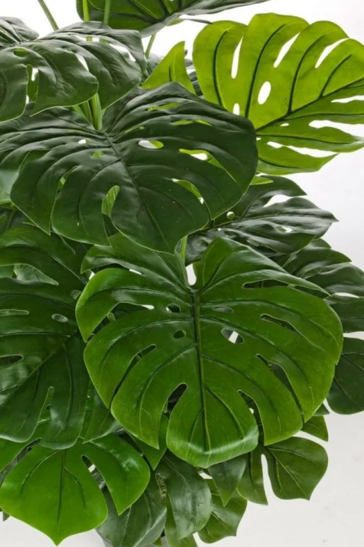 Bizzotto Piante Artificiali>PIANTA FILODENDRO C-VASO 23FOGLIE H120CM