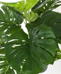 Bizzotto Piante Artificiali>PIANTA FILODENDRO C-VASO 24FOGLIE H65CM