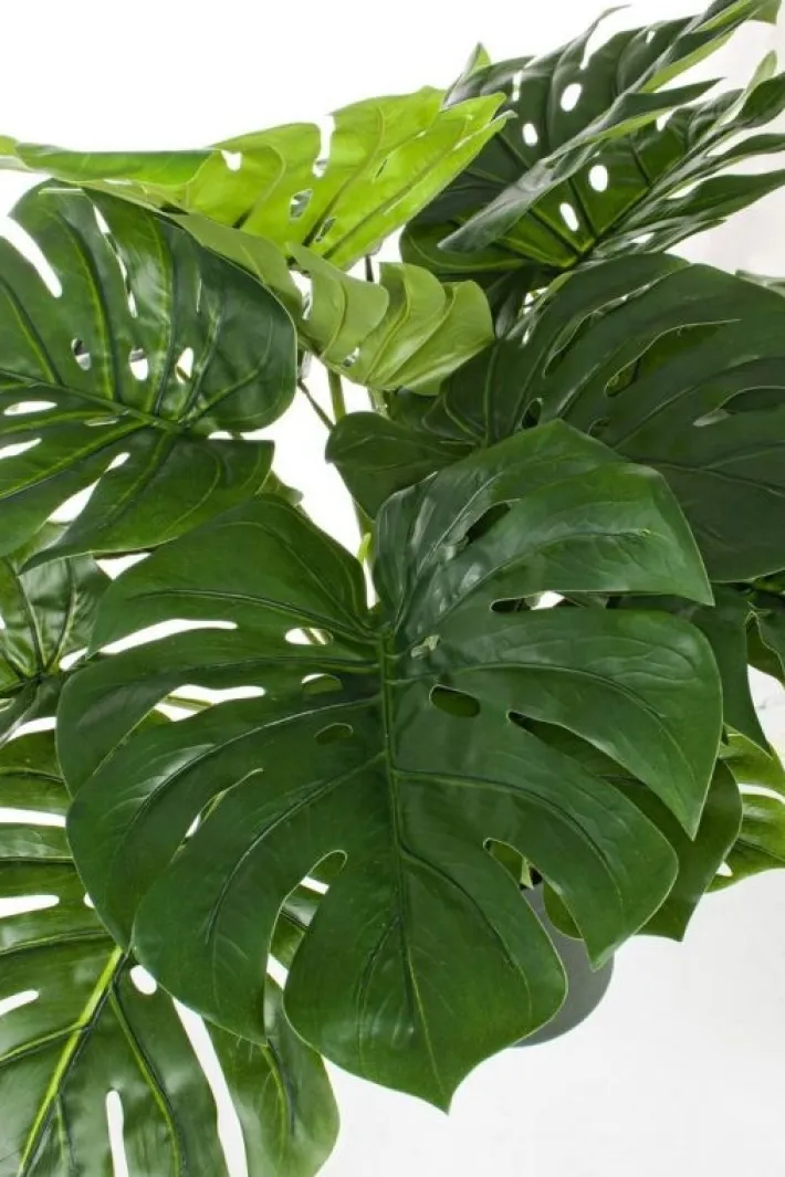 Bizzotto Piante Artificiali>PIANTA FILODENDRO C-VASO 24FOGLIE H65CM
