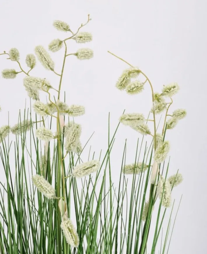 Bizzotto Piante Artificiali>PIANTA GREVILLEA BIANCO C-VASO X5F H100