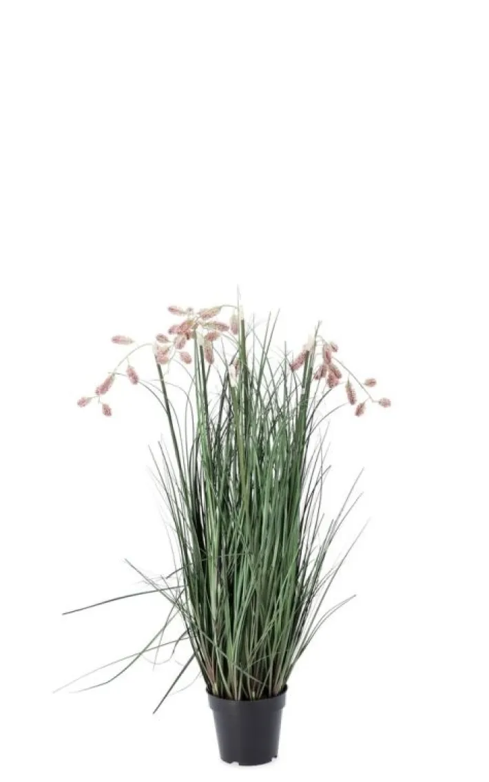 Bizzotto Piante Artificiali>PIANTA GREVILLEA ROSA C-VASO X5F H100