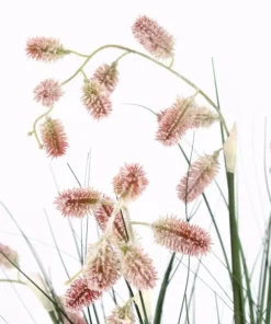 Bizzotto Piante Artificiali>PIANTA GREVILLEA ROSA C-VASO X5F H100