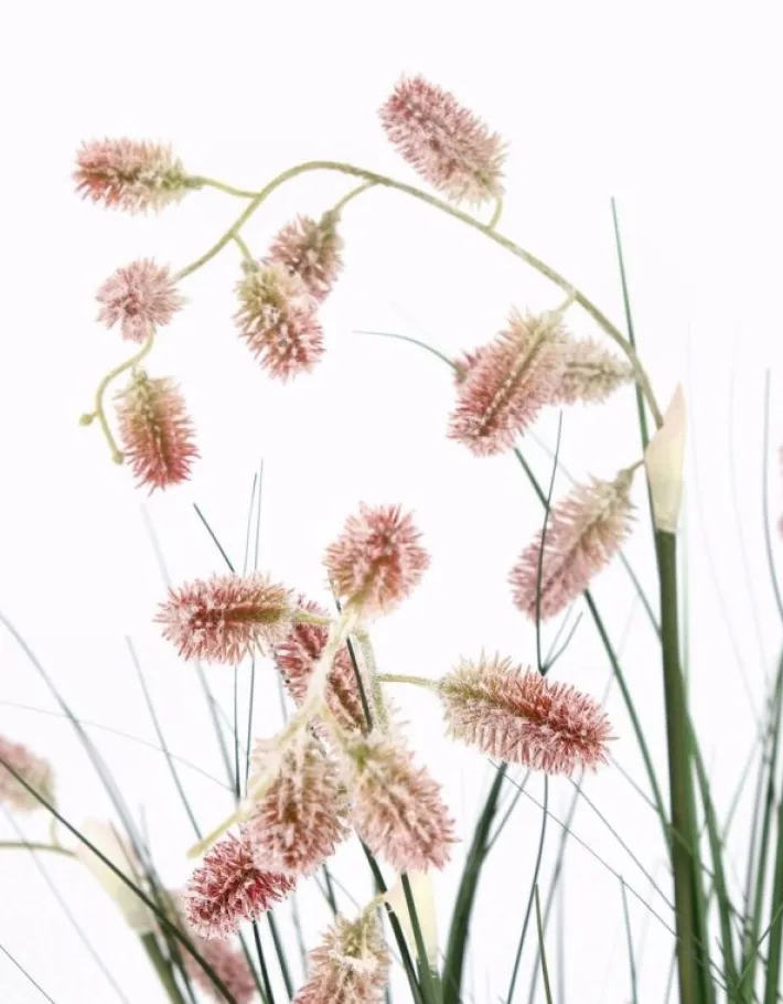 Bizzotto Piante Artificiali>PIANTA GREVILLEA ROSA C-VASO X5F H100