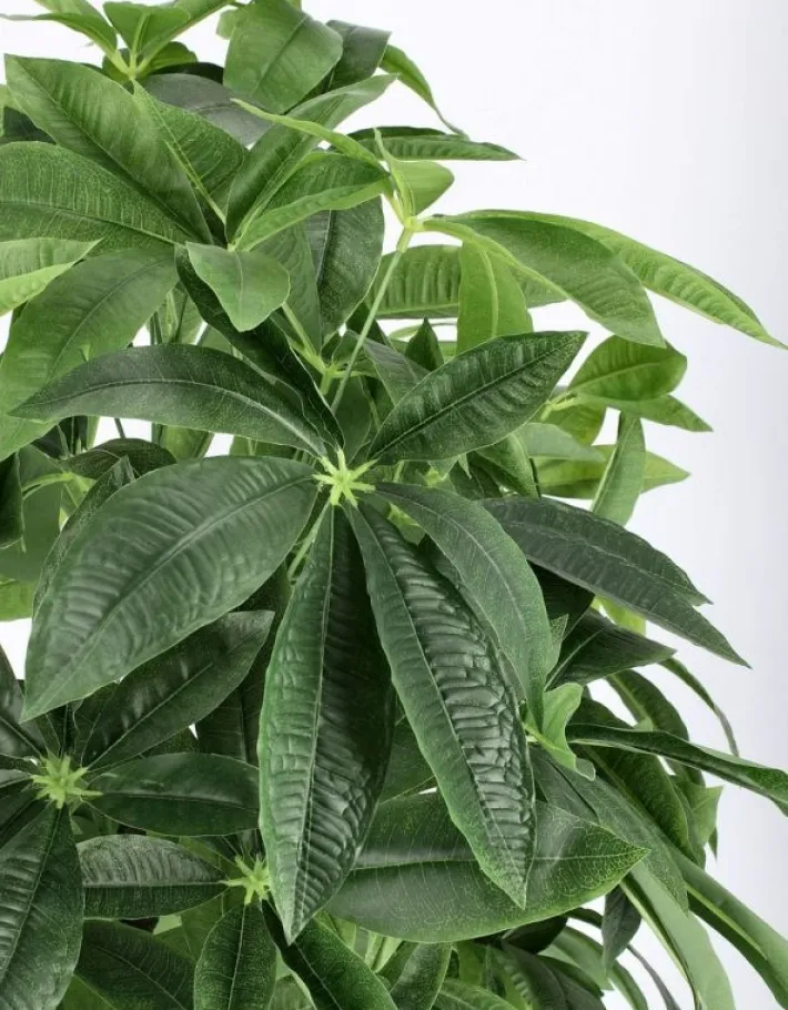 Bizzotto Piante Artificiali>PIANTA PACHIRA AQUATICA C-VASO 360F H160