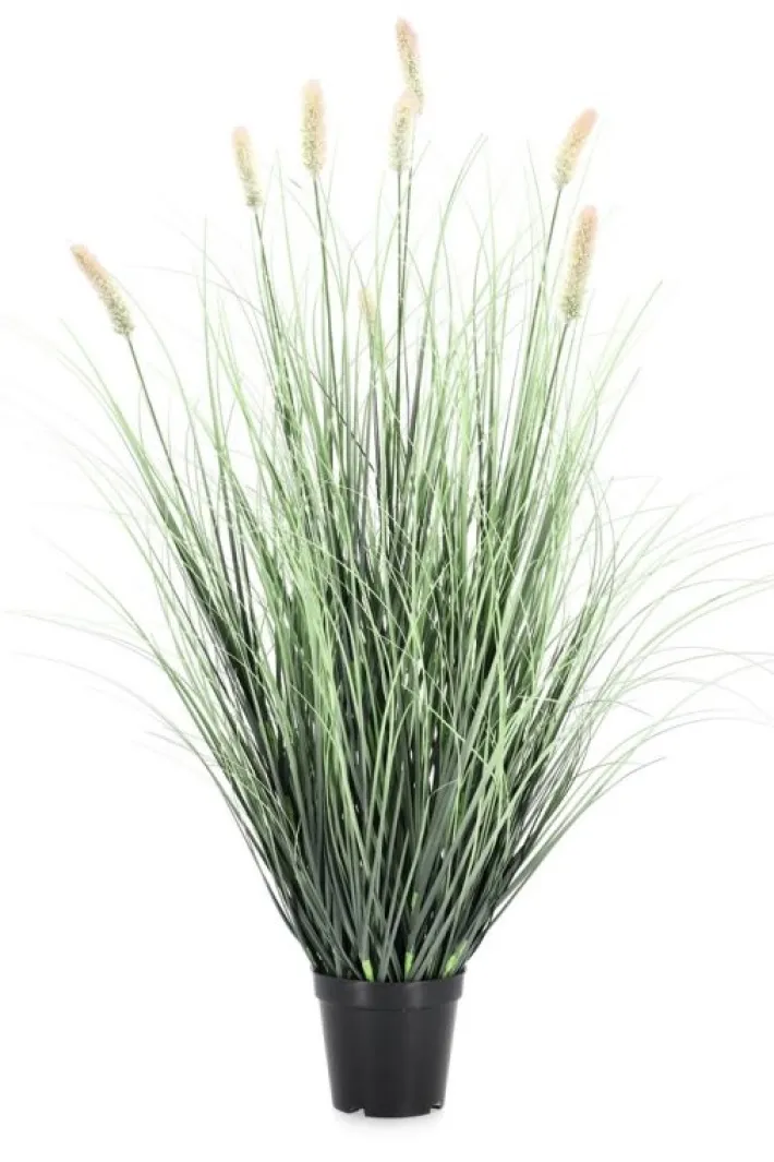 Bizzotto Piante Artificiali>PIANTA PENNISETUM C-VASO H90