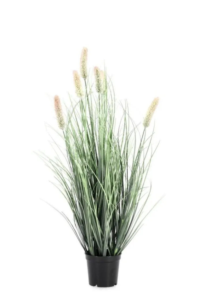 Bizzotto Piante Artificiali>PIANTA PENNISETUM C-VASO H61