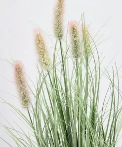 Bizzotto Piante Artificiali>PIANTA PENNISETUM C-VASO H61