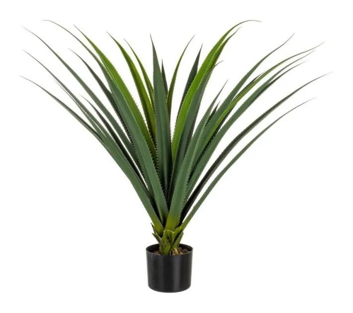 Bizzotto Piante Artificiali>PIANTA RUSCACEAE C-VASO 28FOGLIE H90CM