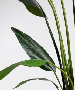 Bizzotto Piante Artificiali>PIANTA STRELITZIA C-VASO 18FOGLIE H310