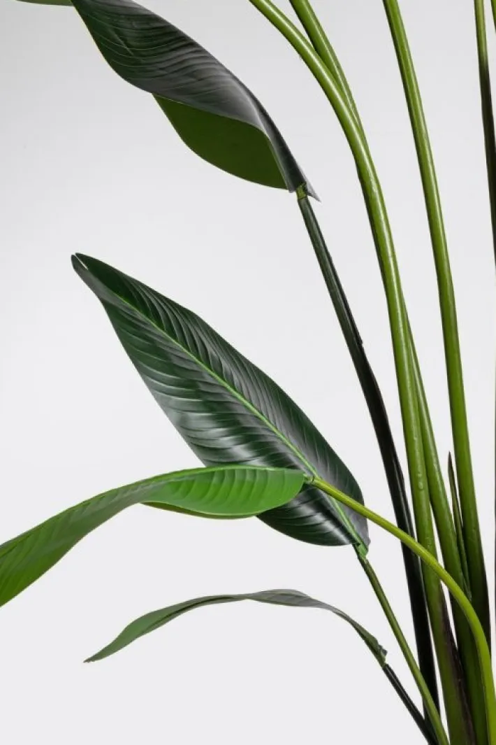 Bizzotto Piante Artificiali>PIANTA STRELITZIA C-VASO 18FOGLIE H310