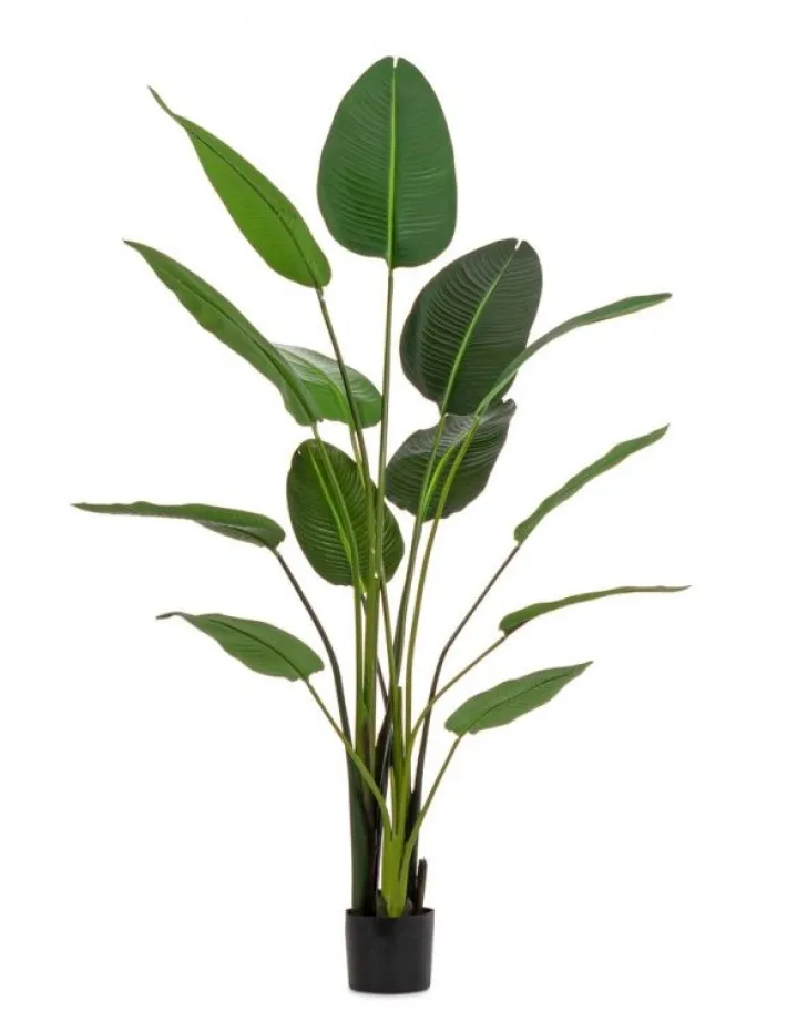 Bizzotto Piante Artificiali>PIANTA STRELITZIA C-VASO 13FOGLIE H185