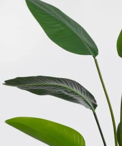 Bizzotto Piante Artificiali>PIANTA STRELITZIA C-VASO 10FOGLIE H150