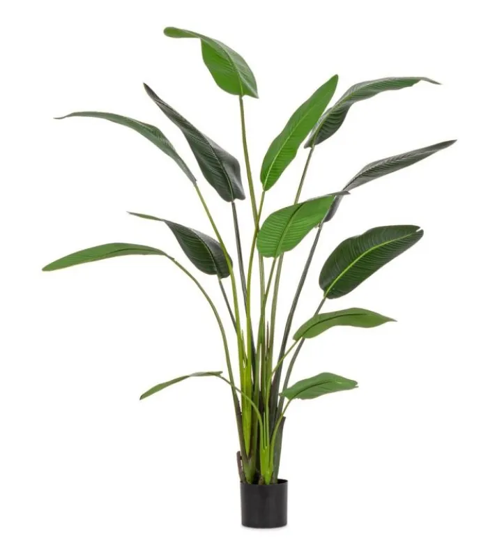 Bizzotto Piante Artificiali>PIANTA STRELITZIA C-VASO 13FOGLIE H235