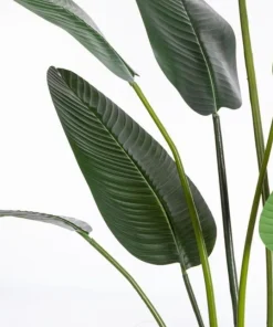 Bizzotto Piante Artificiali>PIANTA STRELITZIA C-VASO 13FOGLIE H235