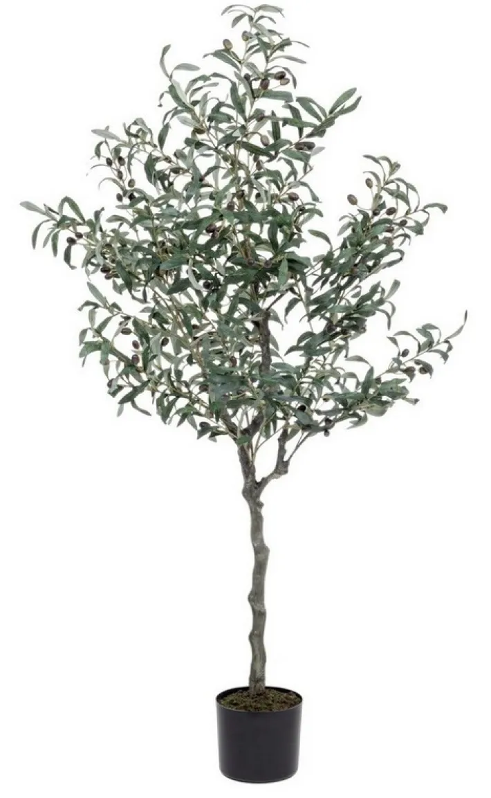 Bizzotto Piante Artificiali>PIANTA ULIVO C-VASO 984FOGLIE H156