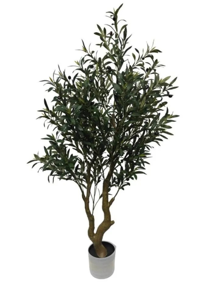 Bizzotto Piante Artificiali>PIANTA ULIVO C-VASO H150