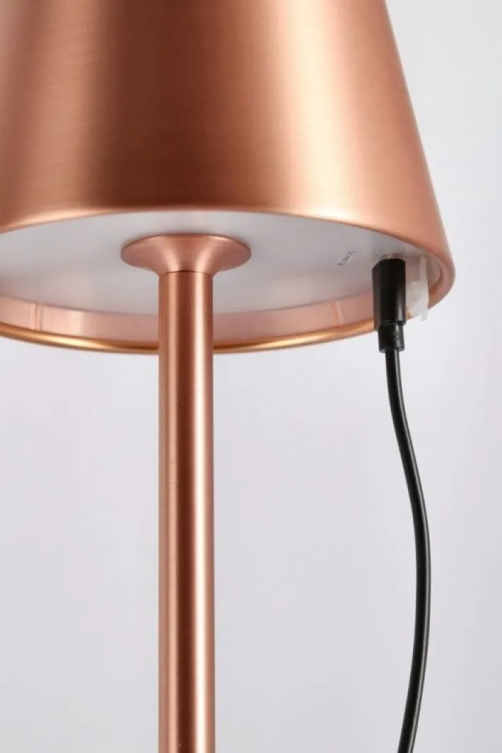 Bizzotto Illuminazione>PIANTANA LED ETNA BRONZO H115