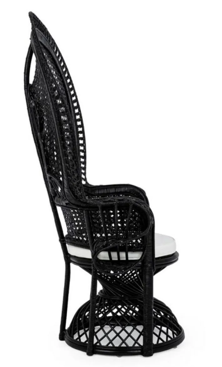 Bizzotto Poltrone E Chaise Longue>POLTRONA IN FIBRE NATURALI SFODERABILE NERO - PEACOCK