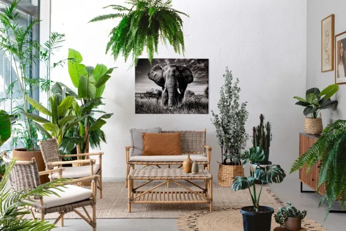 Bizzotto Poltrone E Chaise Longue>POLTRONA IN FIBRE NATURALI CON CUSCINO - TARIFA