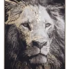 Bizzotto Quadri E Stampe>QUADRO C-C BOLD 906 82X122