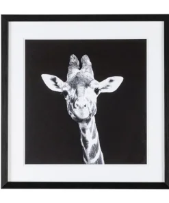 Bizzotto Quadri E Stampe>QUADRO C-C EVIDENCE 107 49X49