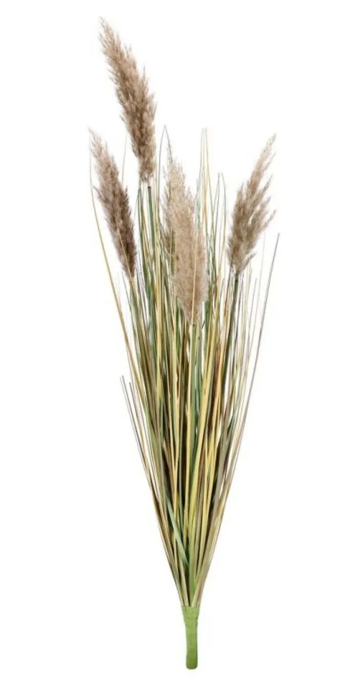 Bizzotto Rami E Corone>RAMO GYNERIUM PAMPAS H100