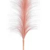Bizzotto Rami E Corone>RAMO INFINITY PIUME ROSA H90CM