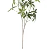 Bizzotto Rami E Corone>RAMO PACHIRA JAMAR VERDE H107CM